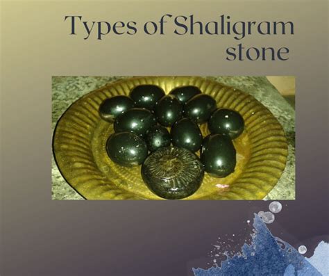 spiritual shaligram stone